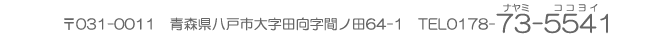 ささクリニック0178-73-5541